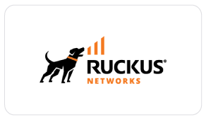 Ruckus Networks-image